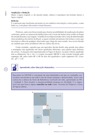 76
Matemática nas migrações e em fenômenos cotidianos
Construção do conhecimento matemático em ação
Seção2
Ampliação e Redução
Maior a figura original, e, do mesmo modo, reduzir é reproduzir em formato menor a
figura original.
Reflexão
É a operação que transforma um ponto no seu simétrico em relação a outro ponto, a uma
linha ou a um plano (Dicionário virtual Houaiss).
Professor, após esse breve estudo para ilustrar possibilidades de exploração do plano
cartesiano, pense na surpresa da família Lima com a visão de muitas áreas verdes ao longo
da estrada durante a sua viagem. A família ficou impressionada com a vista de determinadas
áreas produtivas do interior do Brasil, as quais revelam um mosaico de formas e cores que
fascinam os olhos de qualquer observador que chega de outro estado. Isso ocorre devido
ao cuidado que vários produtores têm no cultivo das terras.
Como exemplo, suponha que um agricultor decida dividir uma grande área plana
e retangular (não quadrada) em vários quadrados diferentes, para plantar tipos distintos
de cereais. A situação está esquematizada na Figura 8 abaixo, na qual o menor quadrado
tem as dimensões 1m x 1m, e o trajeto tracejado ABCDE é uma estrada formada pelo
segmento AB, pelos lados BC e DE de dois dos quadrados e pelo segmento CD. Usan-
do: 2 = 1,41.
Aprendendo sobre Educação Matemática
Buscamos no GESTAR a concepção de uma Matemática em que os conteúdos cur-
riculares encontram-se em rede e não de forma estanque e desarticulada. Você com
certeza fez a leitura do Texto de Referência: Currículo em rede, apresentado na TP1
- Unidade 3. Para resolver a situação-problema proposta na Atividade 12 a seguir,
você terá que buscar alguns conceitos na rede como: Teorema de Pitágoras e áreas
de figuras planas.
Figura 8
 
