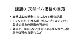 課題３：天然ゴム価格の暴落 
• 天然ゴムの過剰生産によって価格が暴 
• チャンタブリのゴム園、ゴムとプラステックの 
製造企業との連携の可能性 
• 効率化、固まらない技術によるゴム木から樹 
脂を収穫の自動化など 
 