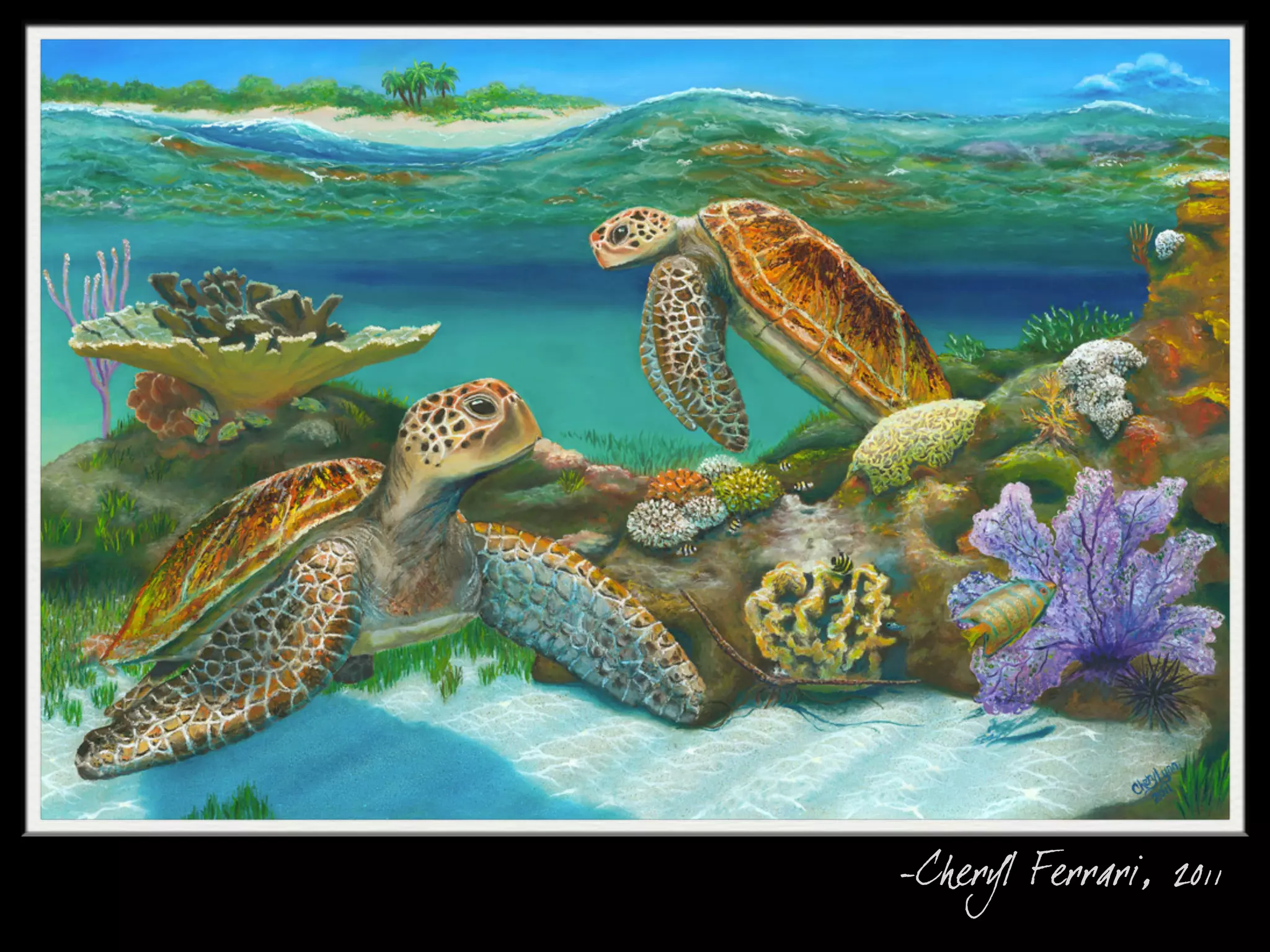 -Cheryl Ferrari, 2011
 