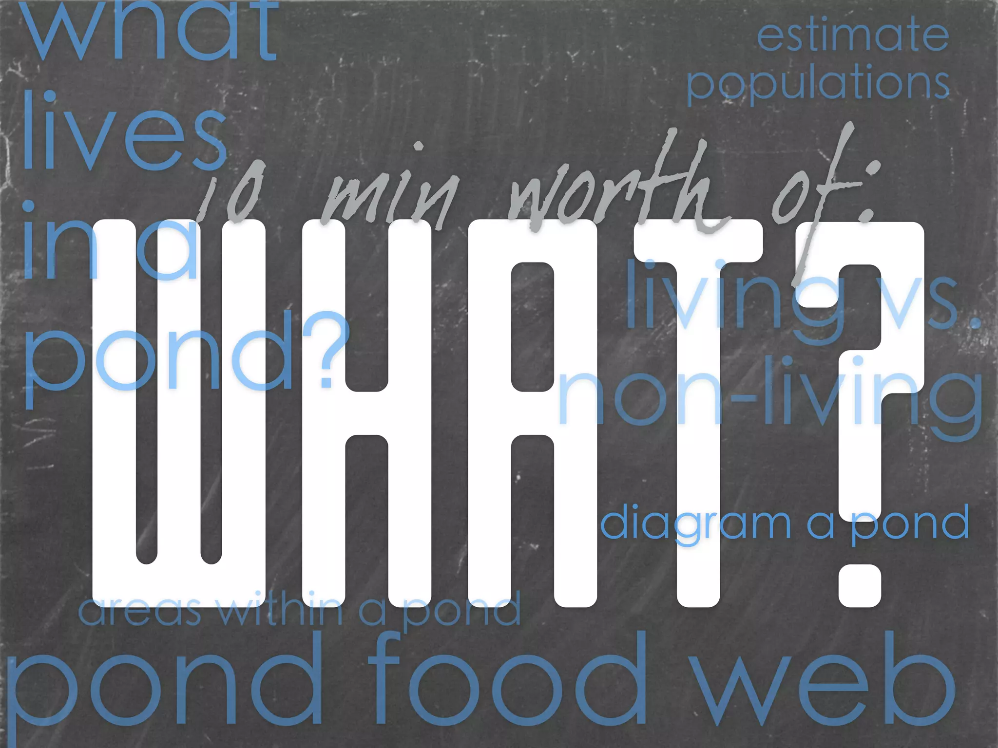 WHAT?
10 min worth of:
living vs.
non-living
diagram a pond
what
lives
in a
pond?
areas within a pond
estimate
populations
pond food web
 