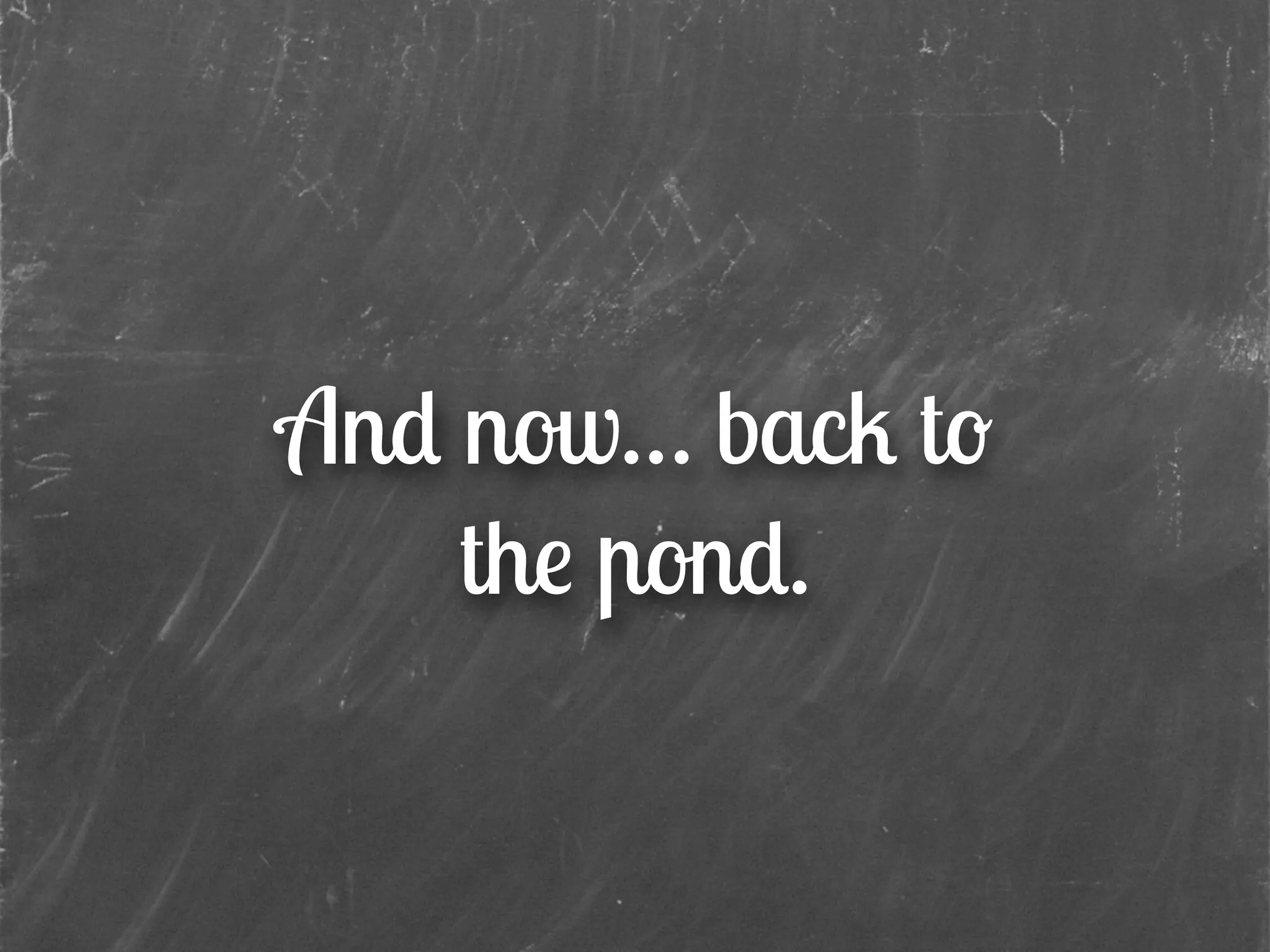 And now… back to
the pond.
 