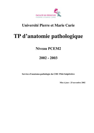 Université Pierre et Marie Curie

TP d’anatomie pathologique
Niveau PCEM2
2002 - 2003

Service d’anatomo-pathologie du CHU Pitié-Salpêtrière

Mise à jour : 25 novembre 2002

 