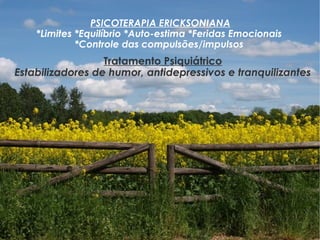 PSICOTERAPIA ERICKSONIANA *Limites *Equilíbrio *Auto-estima *Feridas Emocionais  *Controle das compulsões/impulsos  Tratamento Psiquiátrico Estabilizadores de humor, antidepressivos e tranquilizantes 