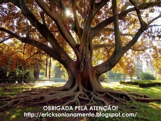 OBRIGADA PELA ATENÇÃO! http://ericksonianamente.blogspot.com/ 