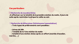 Cas particuliers
❐ Recherche de mycobactéries
-A effectuer sur la totalité de la première miction du matin, 3 jours de
suite après restriction hydrique la veille au soir.
❐ Recherche de bilharziose (Schistosoma haematobium)
- Trois types de prélèvements sont possibles :
- Urines de 24h
- Totalité de la 1 ère miction du matin
- totalité d’une miction émise après un effort (montée d’escalier,
marche, …)
 