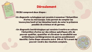 Déroulement
l’ECBU comprend deux étapes :
-Un diagnostic cytologique qui consiste à examiner l’échantillon
d’urine au microscope. Cela permet de compter les
leucocytes/mm3 et les hématies/mm3, de noter la présence
possible de cristaux et de germes.
-Un diagnostic bactériologique qui consiste à mettre en culture
l’échantillon d’urine sur des milieux spécifiques afin de
pouvoir qualifier, quantifier et d’évaluer la sensibilité aux
antibiotiques (antibiogramme) du germe possiblement
identifié. Cette étape nécessite entre 24h et 72 h avant de
pouvoir rendre des résultats complets.
 