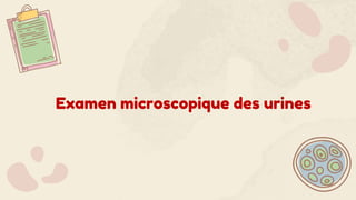 Examen microscopique des urines
 