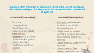 Examen à l’état frais C’est un examen qui se fait entre lame et lamelle, sur
cellule hématimétrique ; il présente de ce fait un double intérêt : quantitatif
et qualitatif
● Sur urine
homogénéisée:
Numération des
leucocytes sur cellule
Nageotte ou
malassez (Ou à défaut
de ces cellules (entre
lame et lamelle))
d’automate cytologie
urinaire.
● -Etat frais : recherche des
bactéries et de cellules
(hématies,levures...)
● - frottis coloré au bleu de
méthylène la nature des cellules
inflammatoires et forme de
bactéries
● - frottis coloré au Gram: voir les
bactéries
● - frottis coloré au Ziehl
Neelsen: rechercher les
❖Quantitatif(Urine entière) : ❖Qualitatif(Centrifugation) :
 