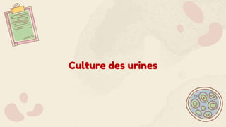 Culture des urines
 