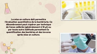 La mise en culture doit permettre
l'évaluation quantitative de la bactériurie. Ce
dénombrement peut s'opérer par technique
de l'anse calibrée (généralement à 10 µl) ou
par toute autre méthode permettant la
quantification des bactéries et des levures
après mise en culture.
 