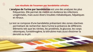 Les résultats de l'examen par bandelette urinaire
L’analyse de l’urine par bandelettes est une des analyses les plus
fréquentes. Elle permet de mettre en évidence les infections
urogénitales, mais aussi divers troubles métaboliques, hépatiques
et rénaux.
Le test se compose d’une bandelette présentant des zones réactives
permettant de rechercher dans l’urine la présence de différents
éléments tels que les nitrites, les protéines, le glucose, les corps
cétoniques, l’urobilinogène, la bilirubine mais aussi d’estimer la
densité ou le pH.
 