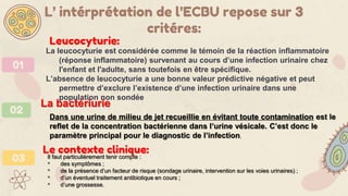 03
Dans une urine de milieu de jet recueillie en évitant toute contamination est le
reflet de la concentration bactérienne dans l’urine vésicale. C’est donc le
paramètre principal pour le diagnostic de l’infection.
Il faut particulièrement tenir compte :
• des symptômes ;
• de la présence d’un facteur de risque (sondage urinaire, intervention sur les voies urinaires) ;
• d’un éventuel traitement antibiotique en cours ;
• d’une grossesse.
02
Le contexte clinique:
L’ intérprétation de l’ECBU repose sur 3
critéres:
La leucocyturie est considérée comme le témoin de la réaction inflammatoire
(réponse inflammatoire) survenant au cours d’une infection urinaire chez
l'enfant et l'adulte, sans toutefois en être spécifique.
L’absence de leucocyturie a une bonne valeur prédictive négative et peut
permettre d’exclure l’existence d’une infection urinaire dans une
population non sondée
Leucocyturie:
La bactériurie
01
 