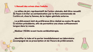 1. Recueil des urines chez l’adulte
_Le milieu de jet, représentatif de l’urine vésicale, doit être recueilli
de façon à éviter sa contamination par la flore commensale de
l’urètre et, chez la femme, de la région génitale externe.
_Le prélèvement doit de préférence être réalisé au moins 4h après
la miction précédente, afin de permettre une stase suffisamment
longue dans la vessie.
_Réaliser l’ECBU avant toute antibiothérapie.
_Identifier le tube et le porter immédiatement au laboratoire
accompagné de sa prescription et de l’heure de prélèvement.
 