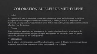 COLORATION AU BLEU DE METHYLENE
 Utilité
La coloration au bleu de méthylène est une coloration simple où un seul colorant est utilisé pour
souligner des structures particulières dans l'échantillon, la forme (la taille et la disposition des
bactéries). Les organismes d'un échantillon seront de la même couleur, même si l'échantillon contient
plus d'un type d'organisme.
 Principe
Étant donné que les cellules ont généralement des parois cellulaires chargées négativement, les
chromophores des colorants basiques, chargées positivement, ont tendance à coller aux parois
cellulaires, ce qui en fait des taches positives.
 Interpretation
Les structures colorables apparaissent bleues, la coloration permet de détecter la morphologie de ces
structures, leur mode de groupement et dans certains cas le type cellulaire
 