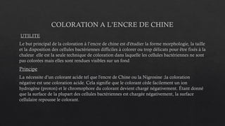 COLORATION A L’ENCRE DE CHINE
UTILITE
Le but principal de la coloration à l’encre de chine est d'étudier la forme morphologie, la taille
et la disposition des cellules bactériennes difficiles à colorer ou trop délicats pour être fixés à la
chaleur elle est la seule technique de coloration dans laquelle les cellules bactériennes ne sont
pas colorées mais elles sont rendues visibles sur un fond
Principe
La nécessite d’un colorant acide tel que l'encre de Chine ou la Nigrosine ;la coloration
négative est une coloration acide. Cela signifie que le colorant cède facilement un ion
hydrogène (proton) et le chromophore du colorant devient chargé négativement. Étant donné
que la surface de la plupart des cellules bactériennes est chargée négativement, la surface
cellulaire repousse le colorant.
 