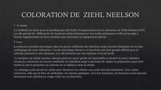 COLORATION DE ZIEHL NEELSON
1. A.UTILITE
La méthode de choix pour la bacilloscopie des frottis d’expectoration est la coloration de Ziehl-Neelsen (ZN)
car elle permet de différencier les bactéries acido-résistantes et non acido-résistantes et elle est la seule à
fournir régulièrement de bons résultats sans nécessiter un équipement spécial
2. Principe
La présence d'acides mycoliques dans les parois cellulaires des bactéries acido-alcoolo-résistantes est la base
cytologique de cette coloration. L'acide mycolique donne à ces bactéries une plus grande affinité pour le
colorant primaire et une résistance à la décoloration par une solution d’alcool-acide
La fuchsine est utilisé comme colorant primaire parce qu'elle est liposoluble et pénètre la paroi cellulaire
cireuse.La coloration est encore améliorée en chauffant jusqu’à émission de vapeur la préparation pour faire
fondre la cire et permettre au colorant de se déplacer dans la cellule.
Le mélange acide-alcool est utilisé pour décolorer les cellules non acido-alcoolo-résistantes. Une contre-
coloration, telle que le bleu de méthylène, est ensuite appliquée. Une fois terminées, les bactéries acido-alcoolo-
résistantes sont colorées en rouge-violet sur un fond bleu.
 