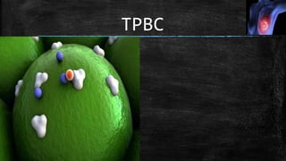 TPBC
 