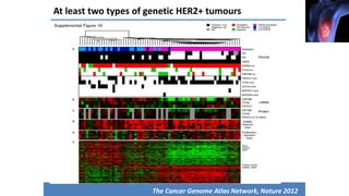 At least two types of genetic HER2+ tumours
The Cancer Genome Atlas Network, Nature 2012
 