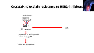 Crosstalk to explain resistance to HER2-inhibitors
HER2
Alteration
ER
Trastuzumab
Lapatinib
Pertuzumab
- Repression of HER2 synthesis
- Escape through ER
Tumor cell proliferation
 