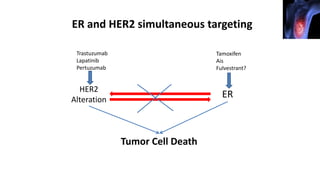 ER and HER2 simultaneous targeting
HER2
Alteration
ER
Trastuzumab
Lapatinib
Pertuzumab
Tamoxifen
Ais
Fulvestrant?
Tumor Cell Death
 