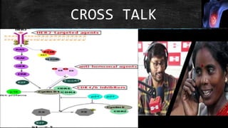 CROSS TALK
 