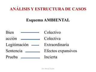ANÁLISIS Y ESTRUCTURA DE CASOS
Esquema AMBIENTAL
Bien
acción
Legitimación
Sentencia
Prueba

Colectivo
Colectiva
Extraordinaria
Efectos expansivos
Incierta
Dra. Moray Claudia

 