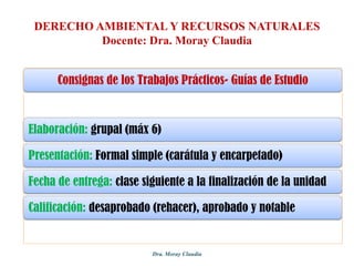DERECHO AMBIENTAL Y RECURSOS NATURALES
Docente: Dra. Moray Claudia

Consignas de los Trabajos Prácticos- Guías de Estudio

Elaboración: grupal (máx 6)
Presentación: Formal simple (carátula y encarpetado)
Fecha de entrega: clase siguiente a la finalización de la unidad
Calificación: desaprobado (rehacer), aprobado y notable

Dra. Moray Claudia

 