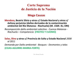 Corte Suprema
de Justicia de la Nación
Mega Causas
Mendoza, Beatriz Silvia y otros c/ Estado Nacional y otros s/
dañosy perjuicios (daños derivados de la contaminación
ambiental del Río Matanza - Riachuelo) (M. 1569. XL; ORI)
Recomposición daño ambiental colectivo - Cuenca Matanza Riachuelo – Competencia (FREITES Y CUOMO)
Salas, Dino y otros c/ Provincia de Salta y Estado Nacional 2008
al 2011
Demanda por Daño ambiental - Bosques - Desmontes y talas
(CEJAS-AGUIRRE-MARRA-FORTE)
Dra. Moray Claudia

 