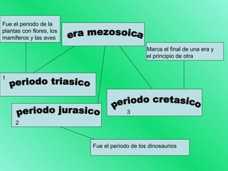 1 
2 
3 
Marca el final de una era y 
el principio de otra 
Fue el periodo de los dinosaurios 
Fue el periodo de la 
plantas con flores, los 
mamiferos y las aves 
 