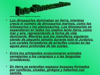 • Jurásico El fue la época del esplendor de los dinosaurios. 
• Los dinosaurios dominaban en tierra, mientras 
crecía el número de dinosaurios marinos, como los 
ictiosaurios y los plesiosaurios. Los dinosaurios se 
expandieron en todos los medios tanto tierra, como 
mar y aire, representando la forma de vida 
dominante. Mientras que los mamíferos siguieron 
siendo de pequeño tamaño durante todo el Jurásico. 
Los corales formadores de arrecifes crecían en las 
aguas poco profundas de las costas. 
• Entre los artrópodos evolucionaron animales 
semejantes a los cangrejos y a las langostas 
(crustáceos). 
• En tierra se extendían espesos bosques formados 
por coníferas, cícadas, ginkgos y helechos con 
semilla. 
 