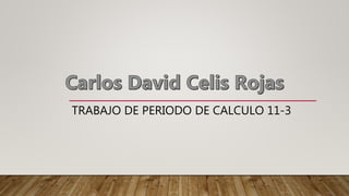 TRABAJO DE PERIODO DE CALCULO 11-3
 