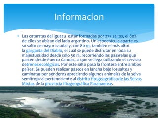 Informacion 
 Las cataratas del iguazu están formadas por 275 saltos, el 80% 
de ellos se ubican del lado argentino. Un espectáculo aparte es 
su salto de mayor caudal y, con 80 m, también el más alto: 
la garganta del Diablo, el cual se puede disfrutar en toda su 
majestuosidad desde solo 50 m, recorriendo las pasarelas que 
parten desde Puerto Canoas, al que se llega utilizando el servicio 
detrenes ecológicos. Por este salto pasa la frontera entre ambos 
países. Se pueden realizar paseos en lancha bajo los saltos y 
caminatas por senderos apreciando algunos animales de la selva 
semitropical perteneciente al distrito fitogeográfico de las Selvas 
Mixtas de la provincia fitogeográfica Paranaense. 
 