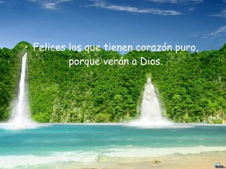 Felices los que tienen corazón puro, porque verán a Dios.