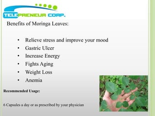 Benefits of Moringa Leaves: 
• Relieve stress and improve your mood 
• Gastric Ulcer 
• Increase Energy 
• Fights Aging 
• Weight Loss 
• Anemia 
Recommended Usage: 
6 Capsules a day or as prescribed by your physician 
 