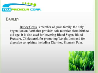 BARLEY 
Barley Grass is member of grass family, the only 
vegetation on Earth that provides sole nutrition from birth to 
old age. It is also used for lowering Blood Sugar, Blood 
Pressure, Cholesterol, for promotingWeight Loss and for 
digestive complaints including Diarrhea, Stomach Pain. 
 