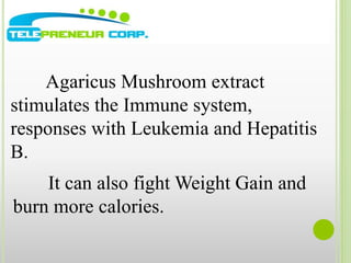 Agaricus Mushroom extract 
stimulates the Immune system, 
responses with Leukemia and Hepatitis 
B. 
It can also fight Weight Gain and 
burn more calories. 
 