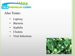 Also Treats: 
• Leprosy 
• Bacteria 
• Syphilis 
• Cholera 
• Viral Infections 
 