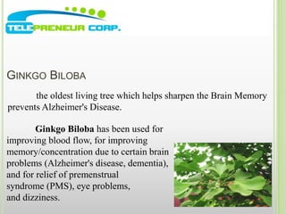 GINKGO BILOBA 
the oldest living tree which helps sharpen the Brain Memory 
prevents Alzheimer's Disease. 
Ginkgo Biloba has been used for 
improving blood flow, for improving 
memory/concentration due to certain brain 
problems (Alzheimer's disease, dementia), 
and for relief of premenstrual 
syndrome (PMS), eye problems, 
and dizziness. 
 