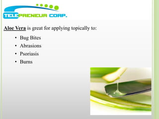 Aloe Vera is great for applying topically to: 
• Bug Bites 
• Abrasions 
• Psoriasis 
• Burns 
 