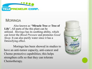 MORINGA 
Also known as “Miracle Tree or Tree of 
Life”, All parts of the this plant can be 
utilized. Moringa has its soothing ability, which 
can lower the Blood Pressure and promotes Good 
Sleep. It can also purify water since it has a 
Detoxifying effect. 
Moringa has been showed in studies to 
have an anti-tumor capacity, anti-cancer and 
Chemo protective capabilities; this helps 
strengthen cells so that they can tolerate 
Chemotherapy. 
 