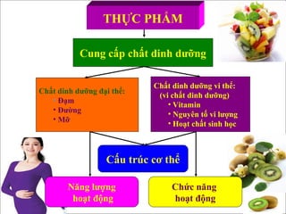 www.themegallery.com
THỰC PHẨM
Cung cấp chất dinh dưỡng
Chất dinh dưỡng đại thể:
• Đạm
• Đường
• Mỡ
Chất dinh dưỡng vi thể:
(vi chất dinh dưỡng)
• Vitamin
• Nguyên tố vi lượng
• Hoạt chất sinh học
Cấu trúc cơ thể
Chức năng
hoạt động
Năng lượng
hoạt động
 