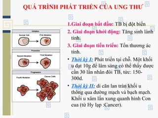 QUÁ TRÌNH PHÁT TRIỂN CỦA UNG THƯ
1.Giai đoạn bắt đầu: TB bị đột biến
2. Giai đoạn khởi động: Tăng sinh lành
tính.
3. Giai đoạn tiến triển: Tổn thương ác
tính.
• Thời kỳ I: Phát triển tại chỗ. Một khối
u đạt 10g để lâm sàng có thể thấy được
cần 30 lần nhân đôi TB, tức: 150-
300d.
• Thời kỳ II: di căn lan tràn khối u
thông qua đường mạch và bạch mạch.
Khối u xâm lấn xung quanh hình Con
cua (từ Hy lạp :Cancer).
 