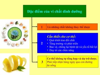 www.themegallery.com
Đặc điểm của vi chất dinh dưỡng
1 Là những chất không thay thế được
2
Cần thiết cho cơ thể:
• Quá trình trao đổi chất
• Tăng trưởng và phát triển
• Bảo vệ, chống lại bệnh tật và yếu tố bất lợi
• Duy trì các chức năng
3
Cơ thể không tự tổng hợp và dự trữ được.
Phải tiếp nhận hàng ngày qua con đường
ăn uống
 