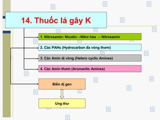 14. Thuốc lá gây K
1. Nitrosamin: Nicotin→Nitro hóa → Nitrosamin
2. Các PAHs (Hydrocarbon đa vòng thơm)
3. Các Amin dị vòng (Hetero cyclic Amines)
4. Các Amin thơm (Aromantic Amines)
Biến dị gen
Ung thư
 