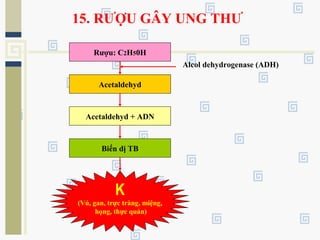 15. RƯỢU GÂY UNG THƯ
Rượu: C2H50H
Acetaldehyd
Acetaldehyd + ADN
Biến dị TB
Alcol dehydrogenase (ADH)
K
(Vú, gan, trực tràng, miệng,
họng, thực quản)
 