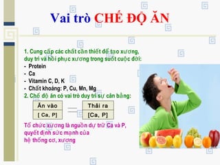 Vai trò CHẾ ĐỘ ĂN
1. Cung c p các ch t c n thi t đ t o x ng,ấ ấ ầ ế ể ạ ươ
duy trì và h i ph c x ng trong su t cu c đ i:ồ ụ ươ ố ộ ờ
- Protein
- Ca
- Vitamin C, D, K
- Ch t khoáng: P, Cu, Mn, Mgấ
2. Ch đ ăn có vai trò duy trì s cân b ng:ế ộ ự ằ
T ch c x ng là ngu n d tr Ca và P,ổ ứ ươ ồ ự ữ
quy t đ nh s c m nh c aế ị ứ ạ ủ
h th ng c , x ngệ ố ơ ươ
Ăn vào
[ Ca, P]
Thải ra
[Ca, P]
 