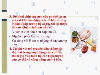 3. Do phải chịu sức nén của cơ thể và sự
ma sát khi vận động, các tế bào xương
ở đầu khớp lương bị vỡ ra, rồi lại được
tái tạo. Quá trình này cần có:
- Vitamin kích thích sự hấp thu Ca.
- Mg điều phối Ca vào xương.
- Ca cùng với P tạo ra những tế bào xương
mới.
4. Ca giữ vai trò truyền dẫn thông tin
thứ hai trong hoạt động của cơ thể,
tham gia vào toàn bộ các hiện tượng
của cơ thể và công năng của tế bào.
 