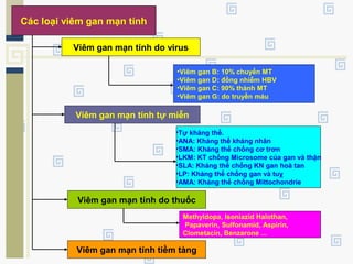Các loại viêm gan mạn tính
Viêm gan mạn tính do virus
•Viêm gan B: 10% chuyển MT
•Viêm gan D: đồng nhiễm HBV
•Viêm gan C: 90% thành MT
•Viêm gan G: do truyền máu
Viêm gan mạn tính tự miễn
•Tự kháng thể.
•ANA: Kháng thể kháng nhân
•SMA: Kháng thể chống cơ trơn
•LKM: KT chống Microsome của gan và thận
•SLA: Kháng thể chống KN gan hoà tan
•LP: Kháng thể chống gan và tuỵ
•AMA: Kháng thể chống Mittochondrie
Viêm gan mạn tính do thuốc
Methyldopa, Isoniazid Halothan,
Papaverin, Sulfonamid, Aspirin,
Clometacin, Benzarone ...
Viêm gan mạn tính tiềm tàng
 