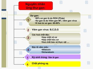 Xơ gan:
•80% xơ gan là do ROH (Pháp)
•Xơ gan là do Viêm gan MT, viêm gan virus
•K hoá từ xơ gan: 60-90%
1
Viêm gan virus: B,C,D,G2
Các hoá chất độc:
•Hợp chất vô cơ
•Hợp chất hữu cơ
•Hoá chất bảo vệ thực vật ....
3
Độc tố nấm mốc:
•Aflatoxin
•Ocharatoxin
4
5 Ký sinh trùng: Sán lá gan
6
Chất phóng xạ.
Nguyên nhân
Ung thư gan:
 