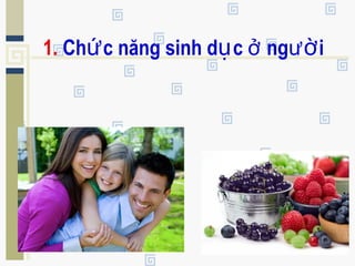 1. Chức năng sinh dục ngở ười
 